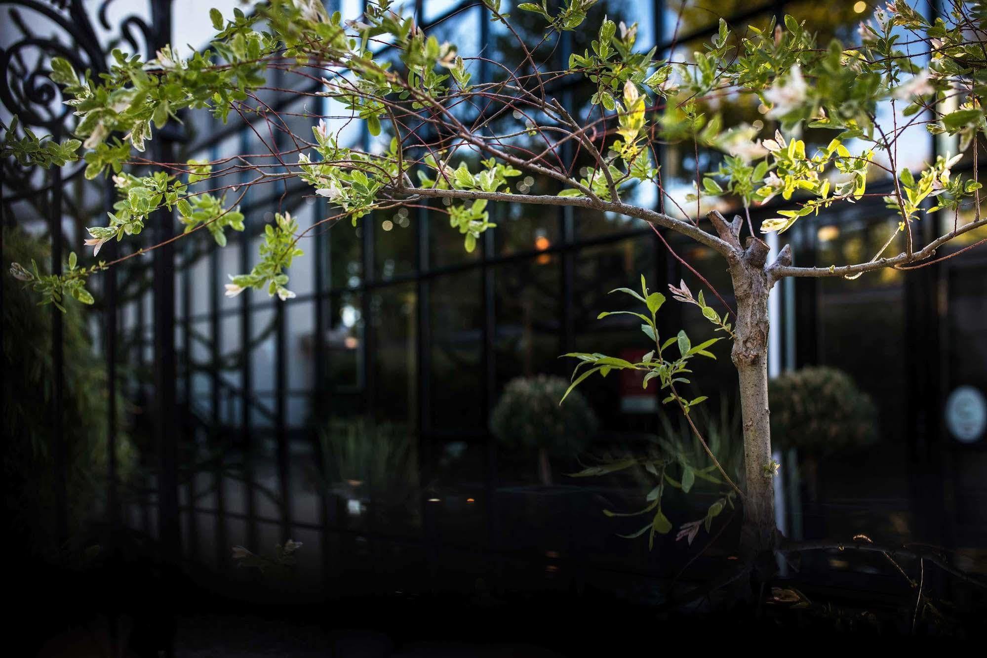 Maison Decoret - Relais & Chateaux Vichy Zewnętrze zdjęcie
